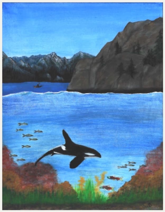 Orca and Kayak