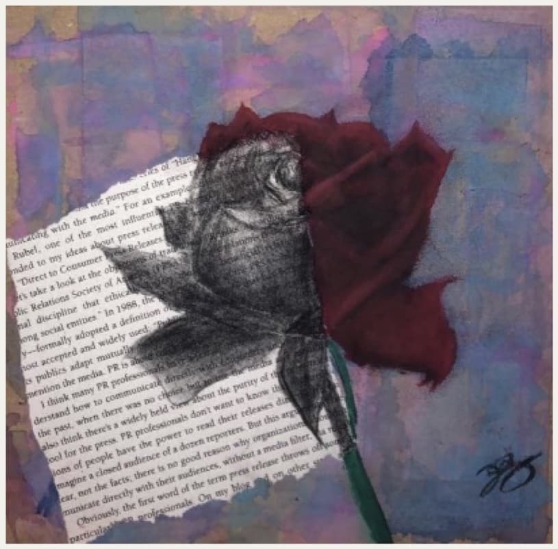 Rose on Newsprint