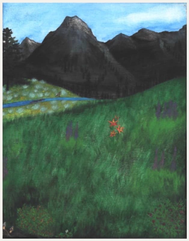 Mountain Meadow