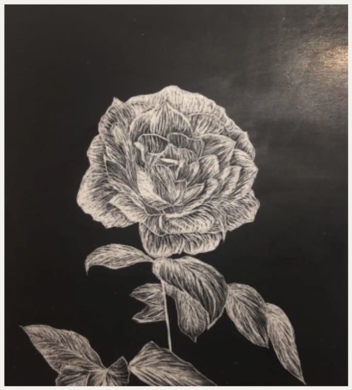 Rose, in Ink