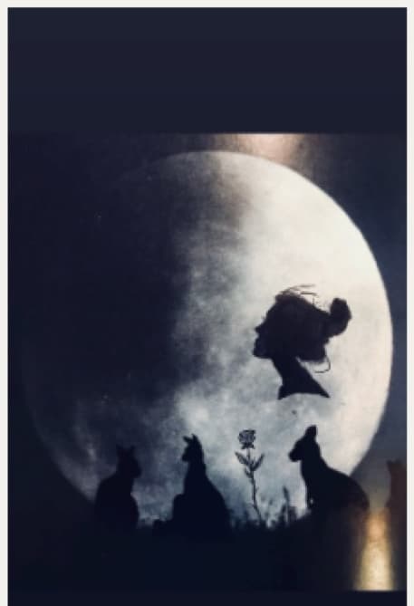 Moonlit Silhouette