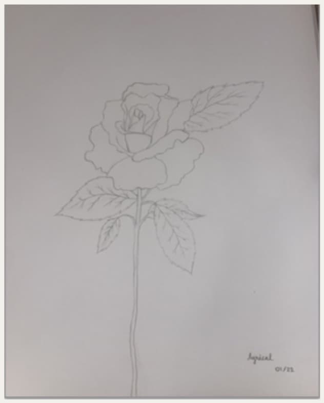 Rose Study