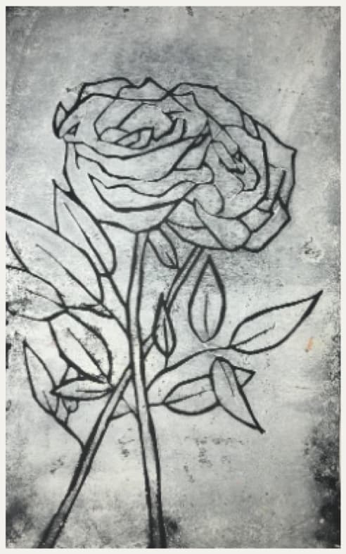 Rose on Slate