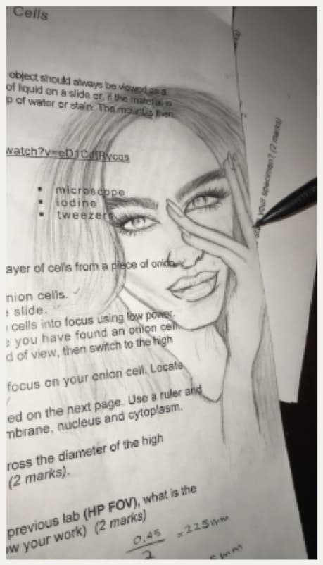 Study on Lab Notes