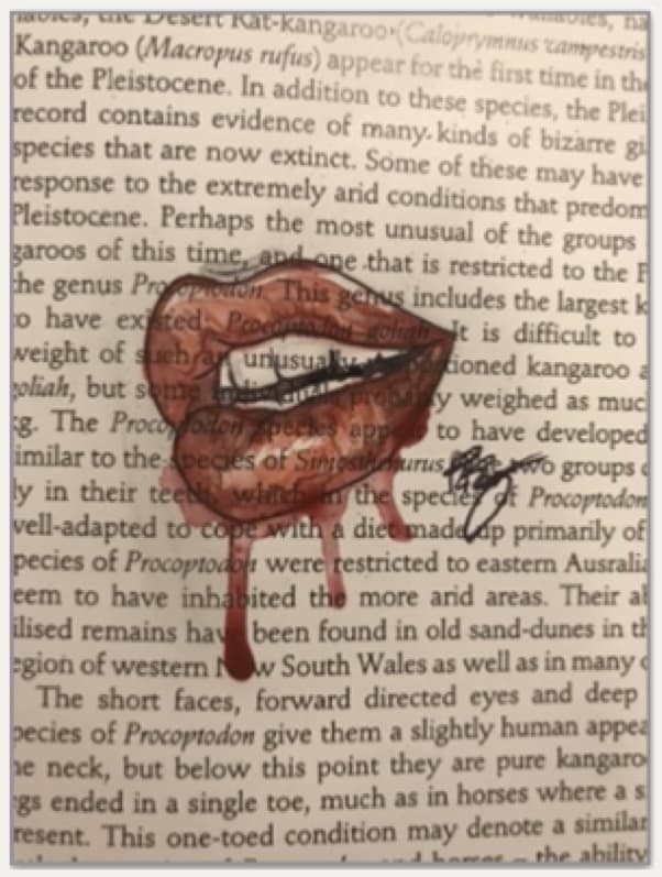 Untitled, p13 #2